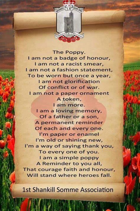 poem  poppy remembrance day poems remembrance day paper