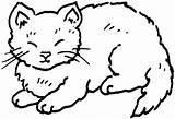 Cat Lazy Clipart Coloring Clip Color Colorat Pages sketch template
