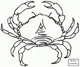 Blue Crab Drawing Kids Getdrawings Crabs sketch template