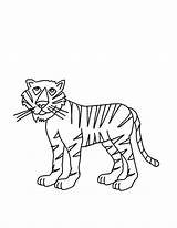 Tiger Coloring Pages Printable Wild Animals Kids Stripes Cute Funny Printthistoday sketch template
