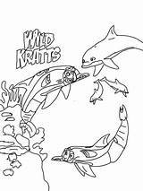 Kratts Colorear Kratt Hermanos Dolphin Dolphins Estés Buscando Vez sketch template