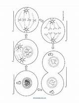 Meiosis Mitosis Phases sketch template
