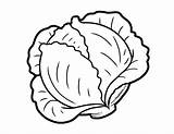 Cabbage Clipart Drawing Coloring Pages Vegetables Vegetable Fruit Kids Clip Food Easy Drawings Cliparts Book sketch template