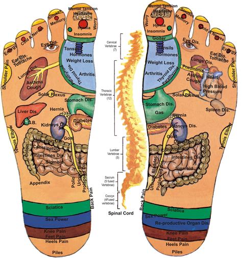 foot acupressure points for burning feet and ailments in the body