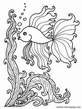 Coloring Tropical Pages Fish Adults Popular Kids sketch template