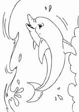 Dolfijn Kleurplaat Delfin Kleurplaten Dolfijnen Dieren Dauphin Tekeningen Malvorlage Coloriage Delfino Schoolplaten Printen Afbeeldingen Afb Vissen Schilderijen Ijsland Kleuters Patronen sketch template