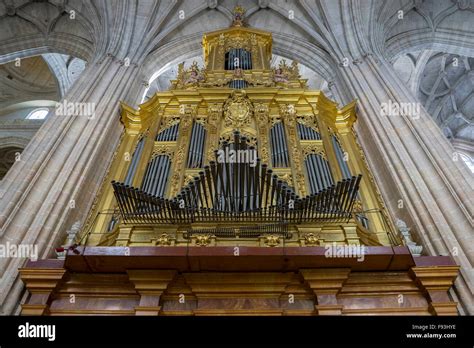 gothic cathedral  segovia monumental pipe organ stock photo alamy