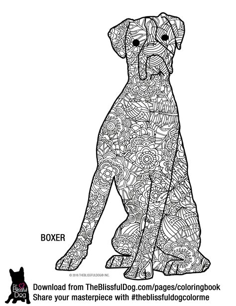 boxer coloring book page    harder onehehehe dog