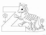 Letter Alphabet Printable Worksheet Coloring Pages Zebra Animal Kids sketch template