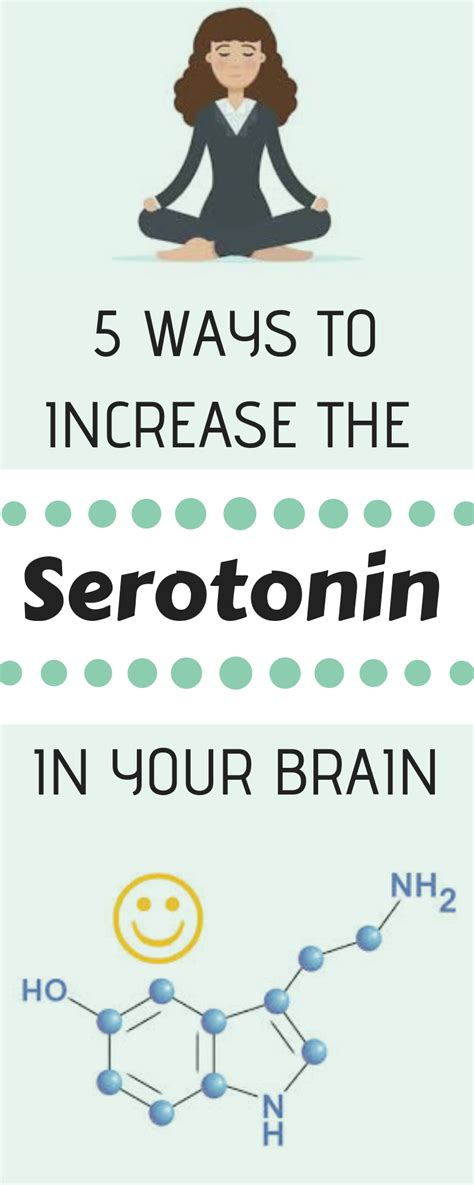 pin  debbie jeffries  health   serotonin happy hormones