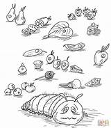 Hungry Coloring Caterpillar Very Pages Fruits Foods Printables Eric Printable Junie Jones Book Carle Swamp Viola Beautiful Color Clipart Drawing sketch template