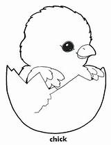 Coloring Pages Chicken Chick Baby Hatching Chicks Kids Little Eggshell Egg Easter Color Drawing Sheets Adorable His Printable Print Variety sketch template