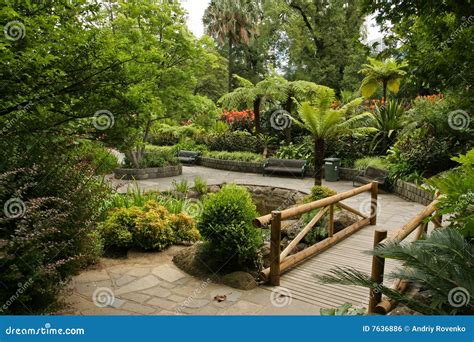 garden landscape royalty  stock image image