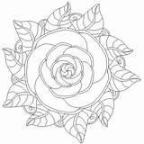 Rosen Roses sketch template