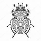 Beetle Scarab Coloring Pages Template sketch template