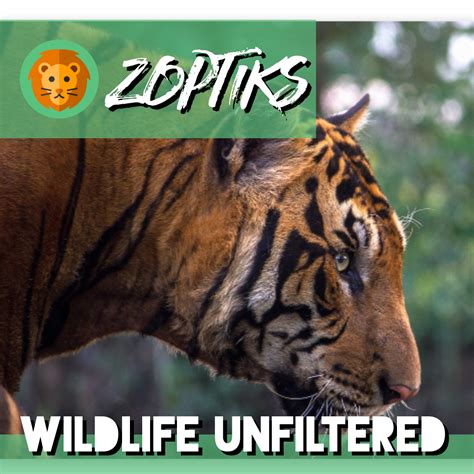 zoopedia