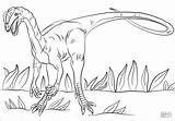 Jurassic Dilophosaurus Dinosaur Ausmalbild Kolorowanki Dilofossauro Dinosaurs Genial Supercoloring Kostenlos Colorare Dinozaury Kolorowanka Dinosaurios Ausdrucken Disegni Druku Rhamphorhynchus Malvorlagen Velociraptor sketch template