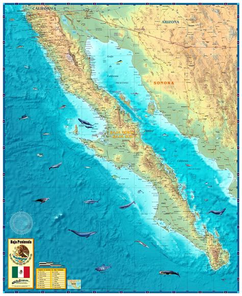 baja mexico peninsula wall map mapscomcom