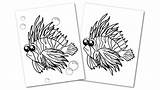 Lionfish sketch template