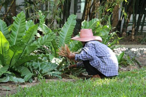 7 Beneficios De La Jardinería Para Tu Mente Pro Bosque Chapultepec