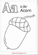 Acorn Letters sketch template