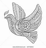 Zentangle Mandala Peace Pigeon sketch template