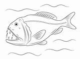 Fangtooth Peixe Peces Poisson Tiefseefische Abysses Piranha Fang Peixes Pez Piranhas sketch template