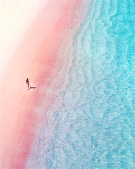 lombok island pink beach  wallpaper teahubio