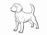 Beagle Coloring Pages Corgi Printable Educativeprintable Color Dog Print Kids sketch template