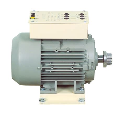 phase squirrel cage induction motor