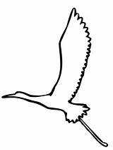 Crane Bird Outline Flying Coloring Pages Draw Netart sketch template