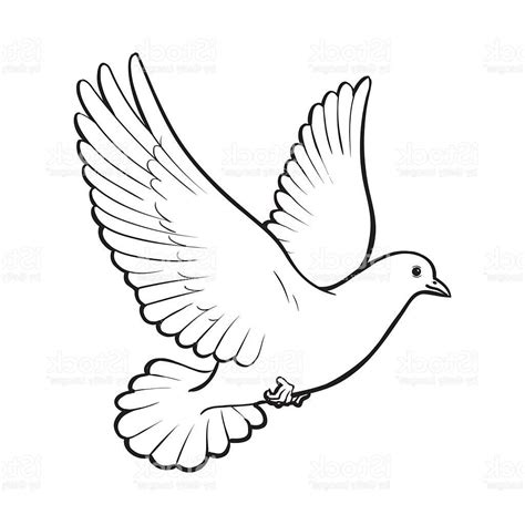 flying dove drawing  getdrawings