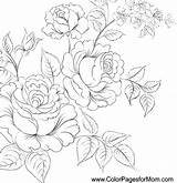 Coloring Pages Realistic Adults Flowers Printable Getcolorings Flower Pag Color Print sketch template