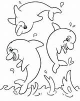 Coloring Dolphin Pages Baby Cute Dolphins Printable Color Kids Football Print Colouring Getdrawings Sheets Getcolorings Animal Vegetables Lion Colorings Choose sketch template