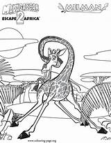 Giraffe Madagascar Coloring Melman Pages Sheet sketch template