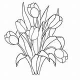 Tulips Tulipani Ornamental Tulpen Tulipes Tulipany Fiori Tulip Kolorowanki Dekorative Schwarzweiss Kwiaty Tulipan Blanches Coloration Ornementales Noires Coloritura Ornamentali Clip sketch template