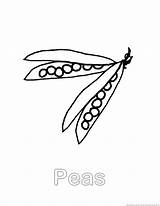 Peas Coloring Pages Zoom Print sketch template