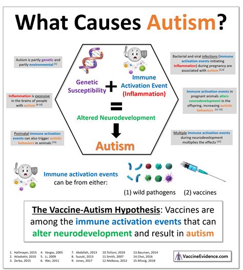 vaccine autism hypothesis vaccine evidence