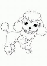 Coloring Pages Poodles Poodle Puppies Printable Kids Dogs Popular sketch template