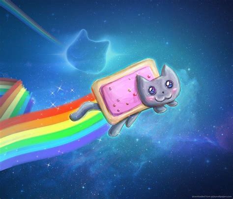 cool galaxy cat wallpapers top  cool galaxy cat backgrounds wallpaperaccess