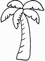 Coconut Tree Template Coloring Clipart sketch template
