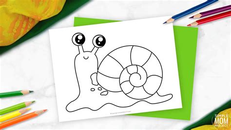 printable snail template simple mom project