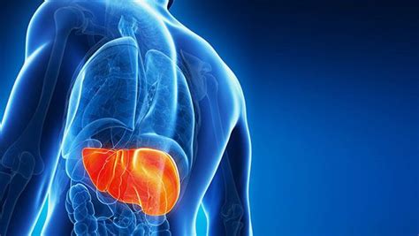 7 Home Remedies For Hepatitis B And C Are Released