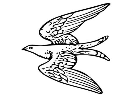 coloring page flying bird  printable coloring pages img