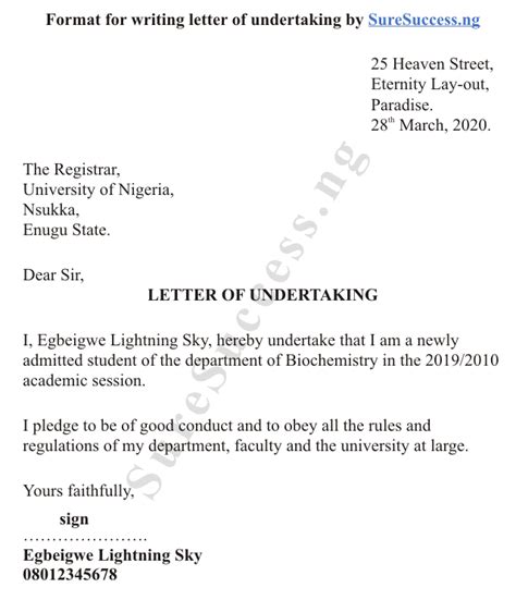 write letter  undertaking  student university admission