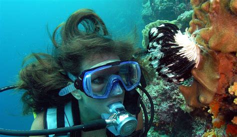 bet you didn t know scuba diving by the numbers madurodive blog