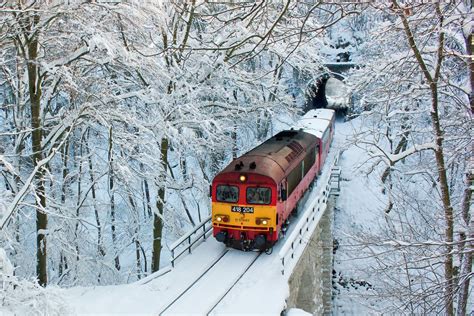 wallpaper snow winter vehicle train branch ice locomotive freezing tree track