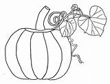 Pumpkin Template Blank Coloring Color Pages Comments sketch template