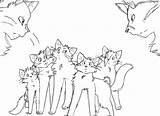 Death Clans Sketch Cats2 Doodles sketch template