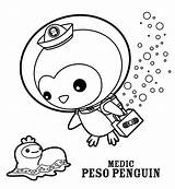 Octonauts Peso Penguin Barnacles Tunip Coloringonly Scribblefun Turnip sketch template